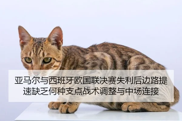 亚马尔与西班牙欧国联决赛失利后边路提速缺乏何种支点战术调整与中场连接